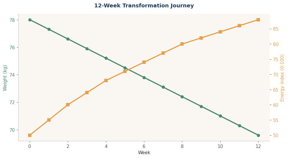 The transformation journey across 12 weeks